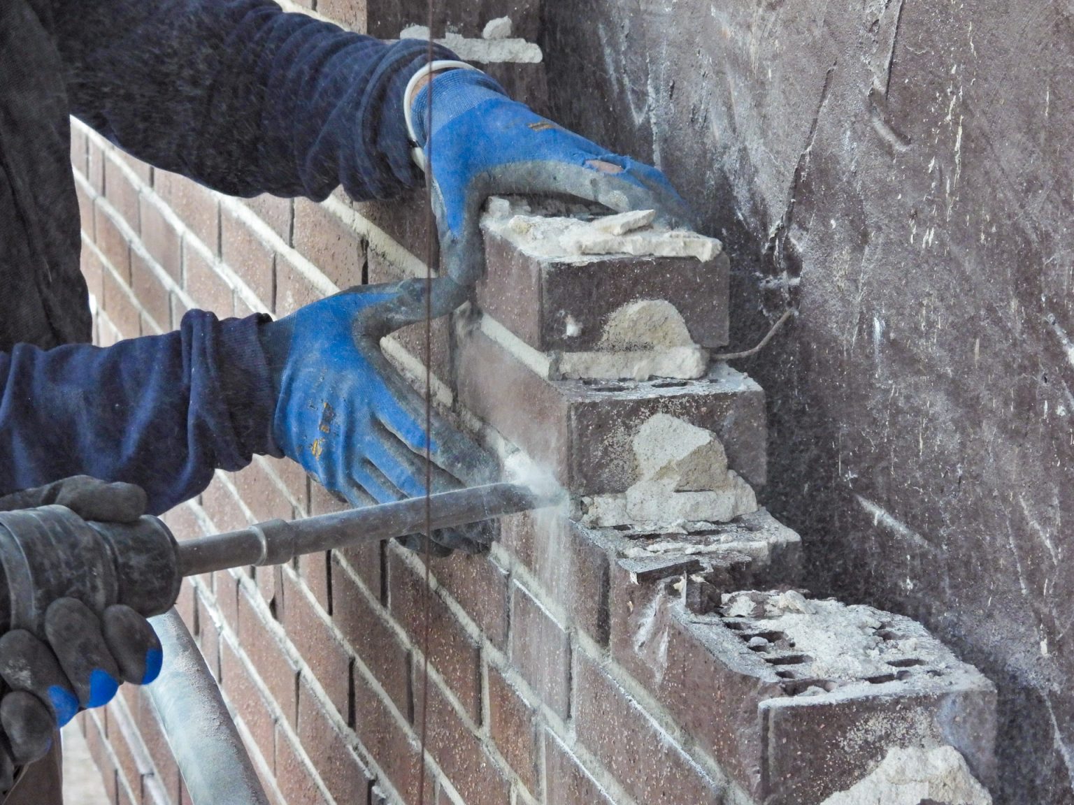 Ökologische Baubegleitung (ÖBB) – Nachtfauna